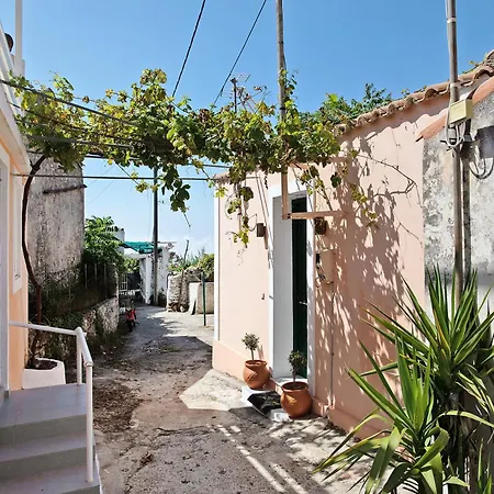 Drosia * Волиме